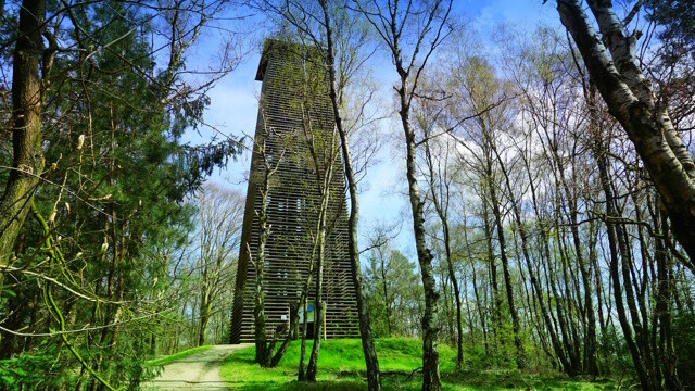 Aussichtsturm im Wald auf dem Hulzenberg in Stokkum/Niederlande.