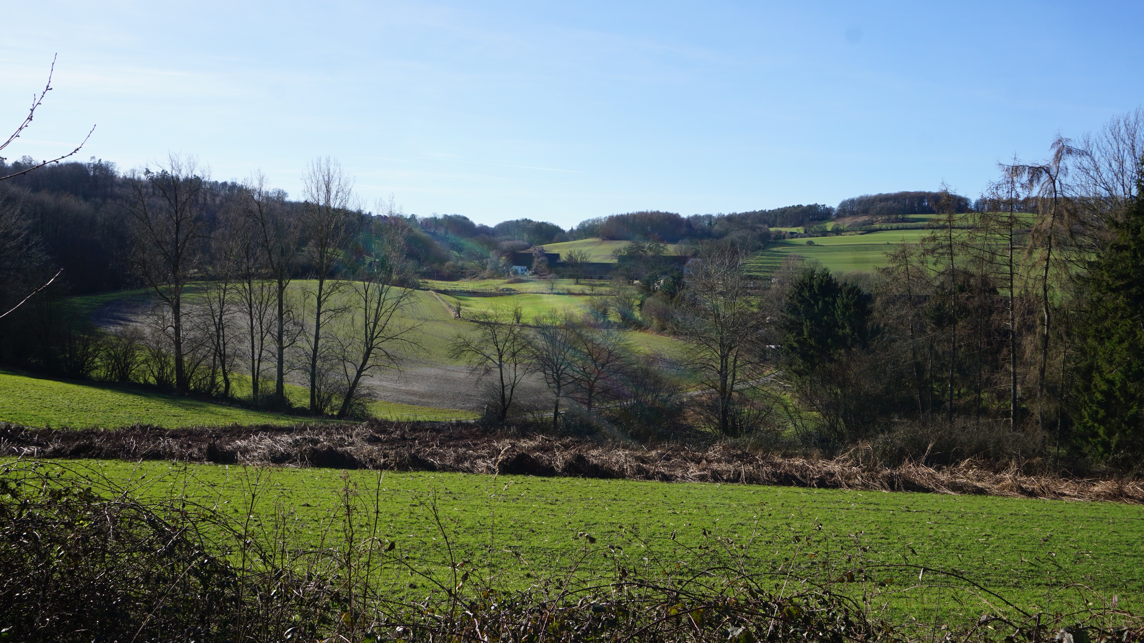 Blick auf eine grüne Hügellandschaft bei Voßhöfen.