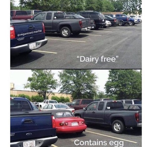 Dairy free: man sieht eine Parklücke von weitem. Man kommt dort an und da steht ein kleines Auto drin: contains egg.