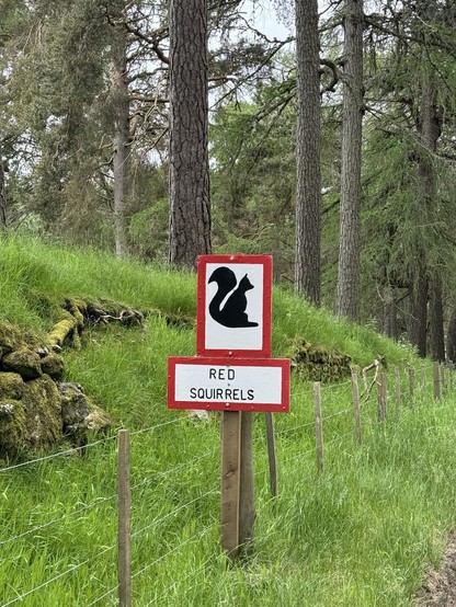 Warning sign with a silhouette of a squirrel, reading 