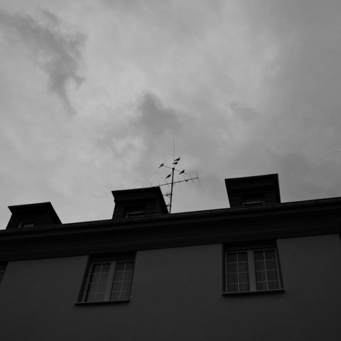 Schwarz-weiß Aufnahme eines Gebäudes. Es sind einige Fenster des obersten Stockwerks zu sehen, außerdem eine Antenne. Darauf sitzen fünf Tauben, die sich gegen den bewölkten Himmel abzeichnen. 