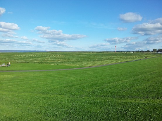 2/3 grüne Wiese 1/3 blauer leicht bewölkter Himmel, dazwischen ein Hauch von Elbe vor Cuxhaven, Höhe Otterndorf.