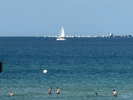People swimming in the foreground with many sailboats and a ship in the background on a calm sea.