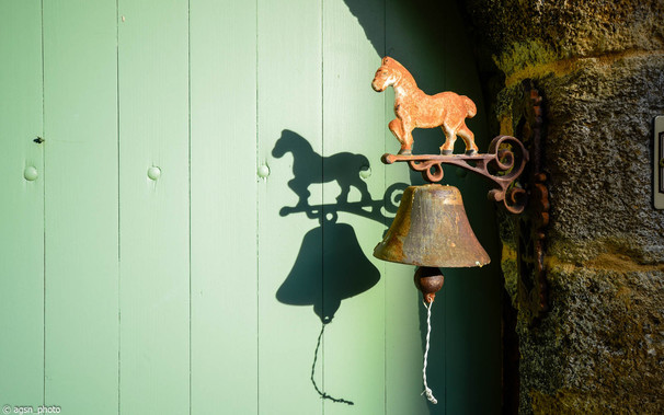 Bildausschnitt einer grünen Haustür. An der Mauer rechts hängt eine altmodische Hand-Türglocke. Auf der Glockenhalterung ist ein Modell eines Pferdes angebracht.
