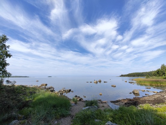Blick auf ein ruhiges Gewässer, im Vordergrund sieht man Büsche und Sträucher am Ufer, aus dem Wasser ragen einige Steine und Felsen heraus, am blauen Himmel sind einige weiße Wolken zu sehen.
