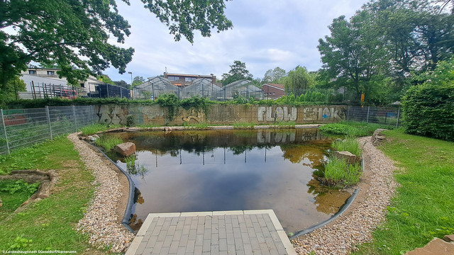 Ein Teich, der von einem Zaun umgeben ist. Im Hintergrund sind einige Gebäude zu sehen, die Ufer des Teichs sind mit Steinen ausgelegt, dahinter wächst eine Wiese. 