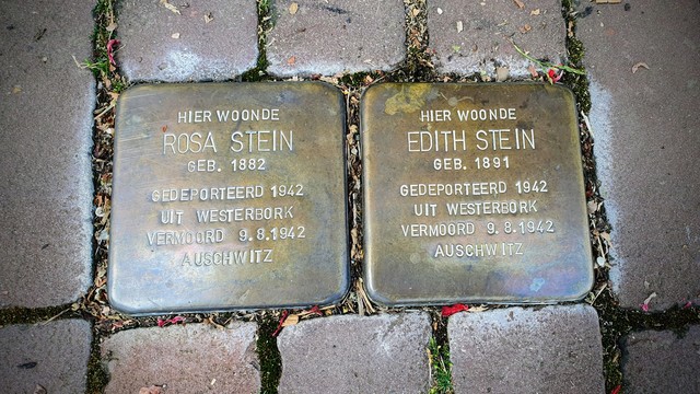 Die beiden Stolpersteine für Rosa und Edith Stein.