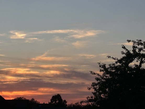 Rechts die Silhouette eines großen Baumes vor dem unten und im mittleren Bereich bunt gefärbten Himmel, an dem mittig unten links die Sonne vor schleirig bewölktem Himmel fast verschwunden ist. Im oberen Teil des Bildes ist der Himmel wolkenfrei.