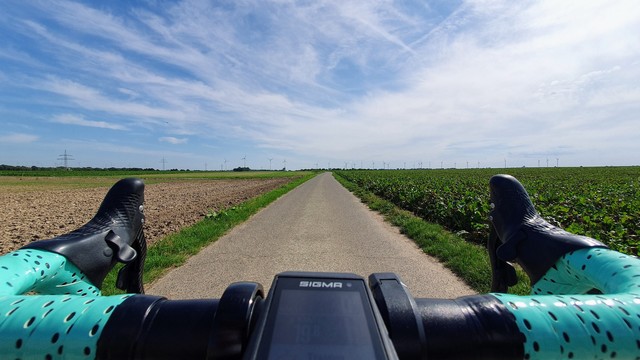 Blick über den Rennlenker mit Bianchi-typischem celestefarbenen Lenkerband einen geraden Feldweg entlang, der auf einen topfebenen Horizont zuläuft.