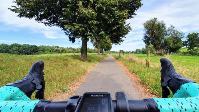 Blick über den Lenker: Ein schmaler baumgesäumter Radweg neben einer etwas höher gelegener Landstraße.