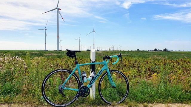 Mein Bianchi-Rennrad lehnt an einem Leitpfosten. Dahinter die topfebene Bördelandschaft mit zahllosen Windrädern.